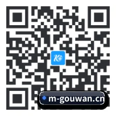苹果版 iOS 二维码